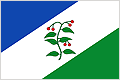 Bandera d'Arbúcies